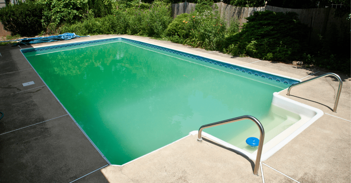 swimming pool with green pool water